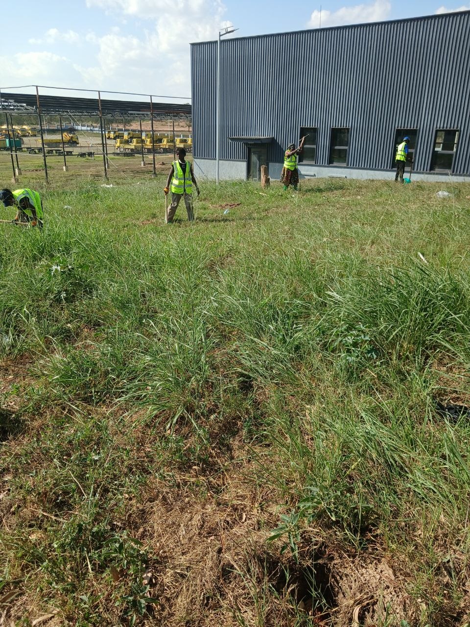 Landscaping Services