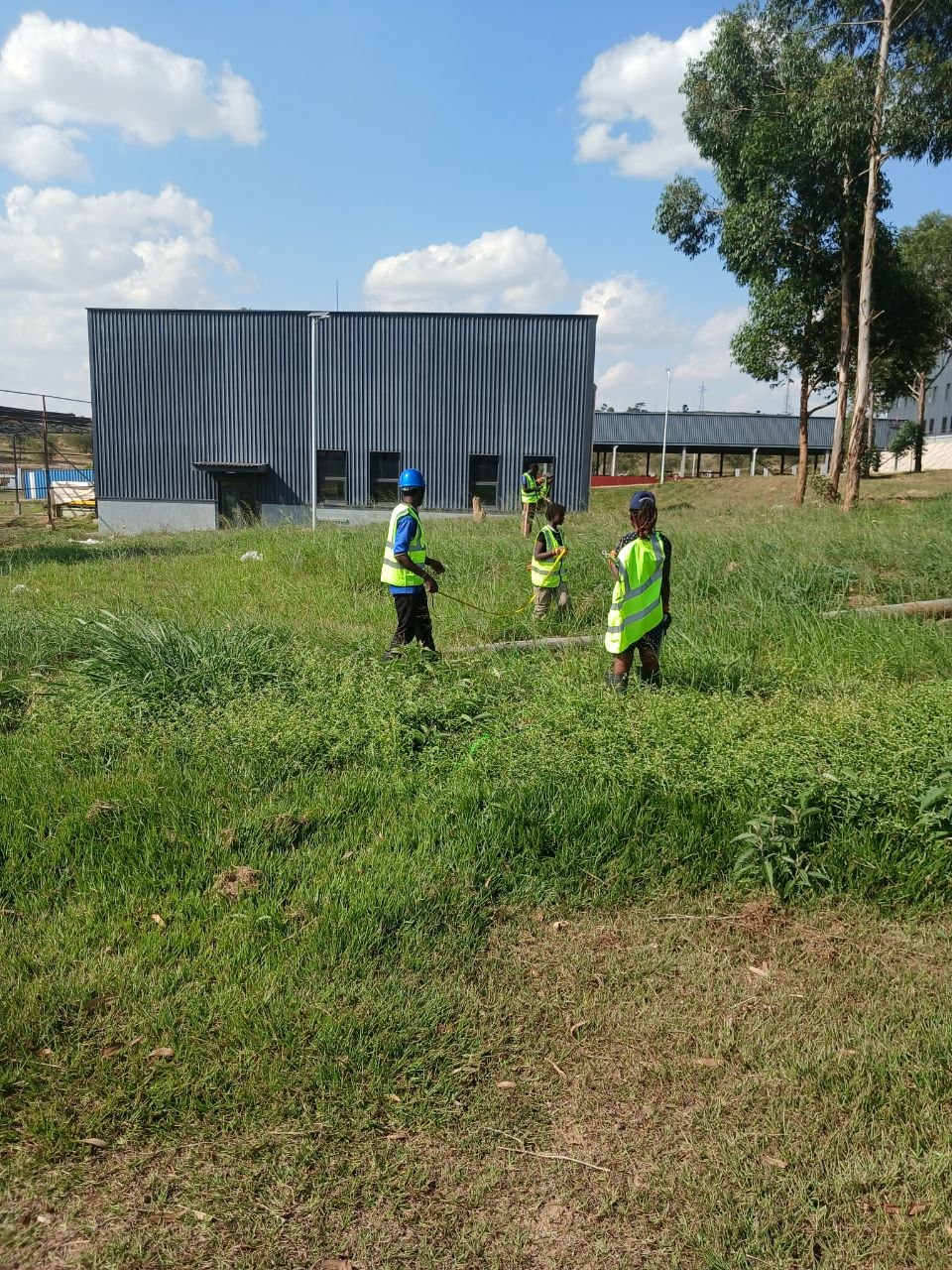 Landscaping project
